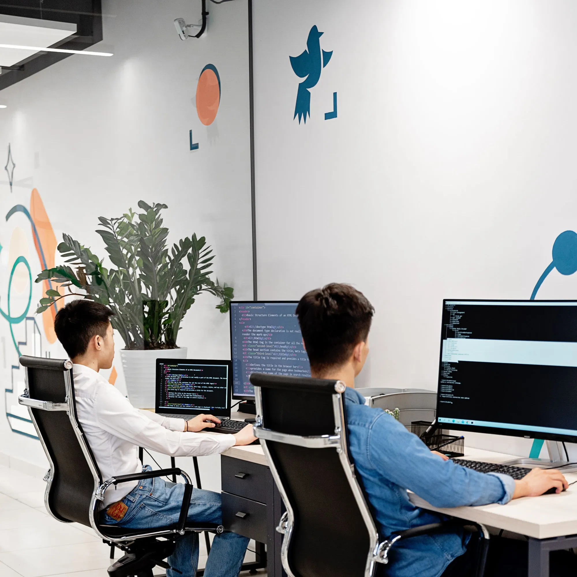 Tim Creative Solution Digital mengembangkan website dan aplikasi di kantor